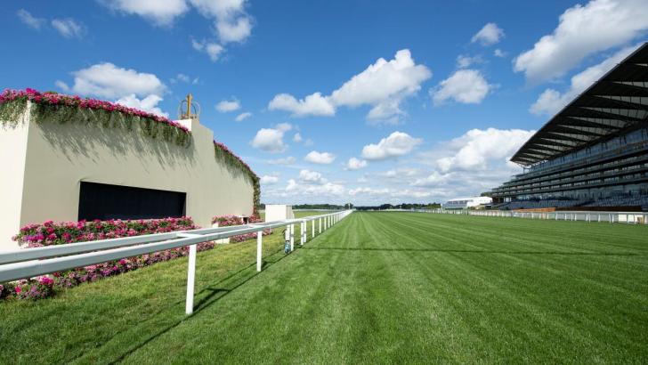 The Royal Ascot home straight